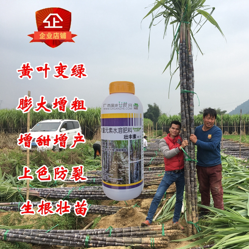 壮丰素甘蔗膨大增长增甜专用水溶性叶面肥料用后可以增产百分之30|msdalam kategori barangan pertanian, baja, foliar - dari Buy2taobao.com untuk memberikan perkhidmatan ejen Taobao profesional membeli