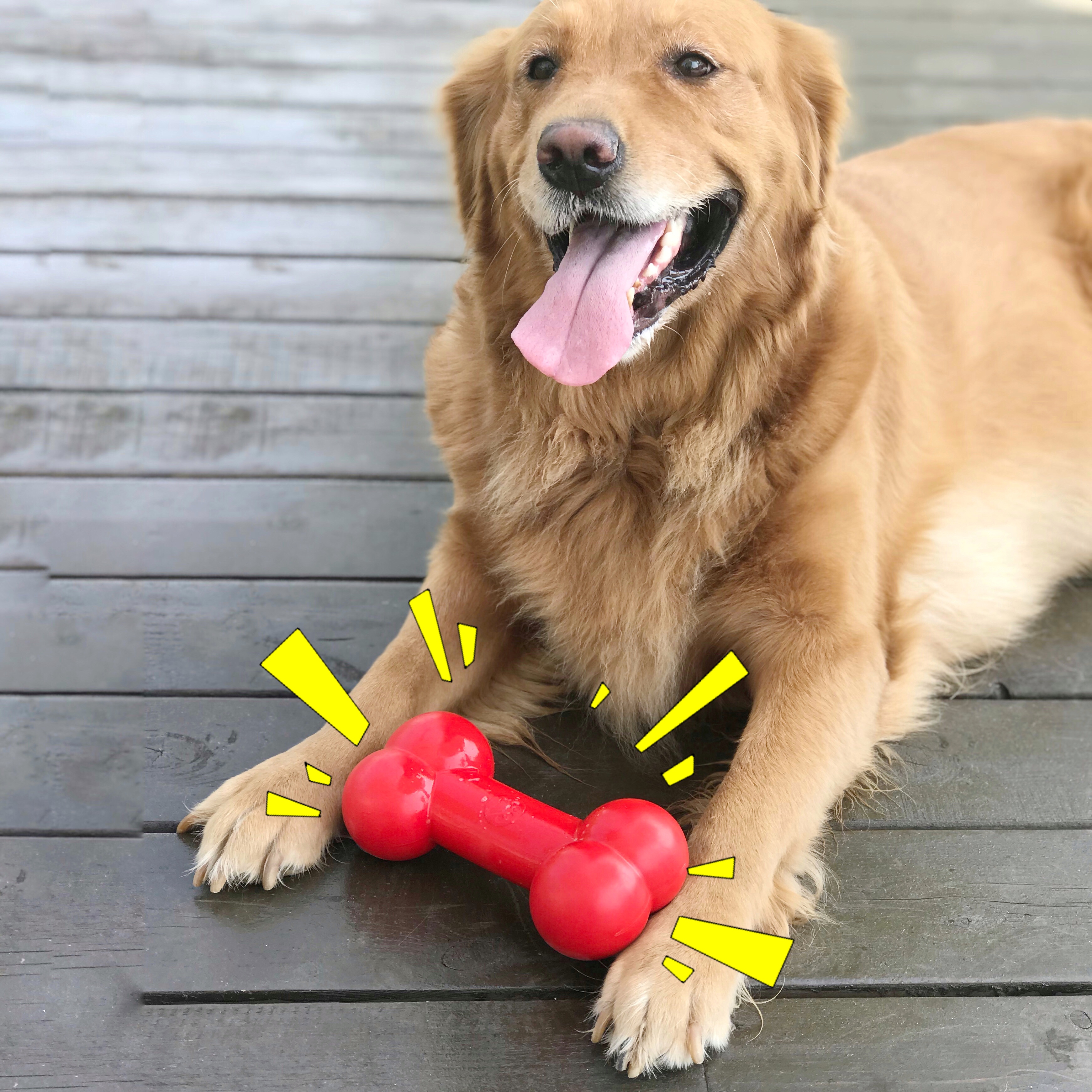 大狗发声骨头哑铃中大型犬金毛萨摩阿拉斯加磨牙耐咬宠物狗玩具|msdalam kategori haiwan peliharaan/makanan haiwan dan bekalan, Cat/Mainan anjing, mainan bunyi - dari Buy2taobao.com untuk memberikan perkhidmatan ejen Taobao profesional membeli
