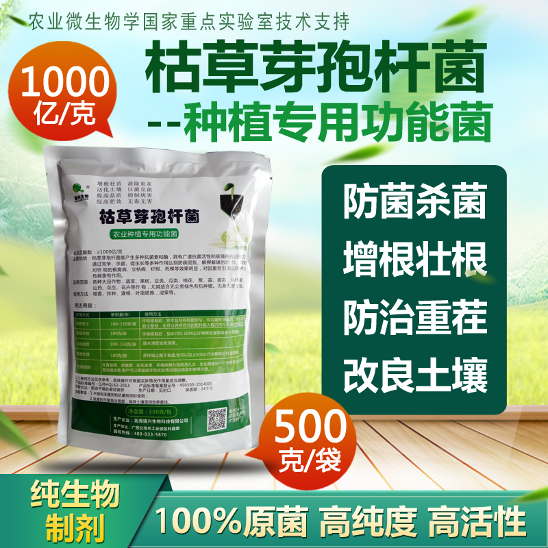 1000 One hundred million/Qiangxing Subtilis Bacillus Bacillus Organic microorganism Agriculture plant High activityin the Flower delivery/Flowers simulation/Plants gardening , Gardening supplies , Gardening Fertilizer/Nutrient/Nutrient solution category - from Buy2taobao.com to provide professional Taobao agent buy service