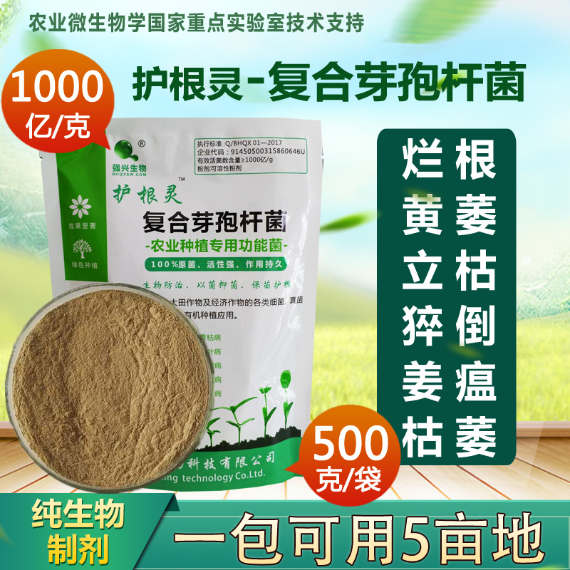 包邮强兴护根灵1000亿/克枯草芽孢杆菌农业种植专用菌株厂家直销|msdalam kategori penghantaran bunga/bunga simulasi/tumbuhan berkebun, Gardening Supplies, baja rumah berkebun/tanah pemakanan/penyelesaian nutrien - dari Buy2taobao.com untuk memberikan perkhidmatan ejen Taobao profesional membeli