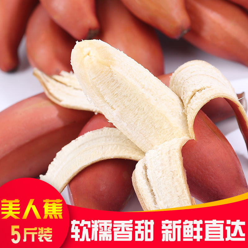 紅香蕉美人蕉福建南靖紅皮香蕉新鮮現摘5斤包郵孕婦營養水果在類目 水產肉類/新鮮蔬果/熟食, 新鮮水果, 香蕉中 - 來自Buy2taobao.com提供專業的淘寶代購服務