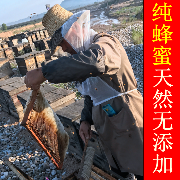 正宗洋槐花蜂蜜瓶装农家自产野生纯正蜂蜜儿童孕妇成熟蜂蜜500g|msdalam kategori makanan berkhasiat tradisional, madu - dari Buy2taobao.com untuk memberikan perkhidmatan ejen Taobao profesional membeli