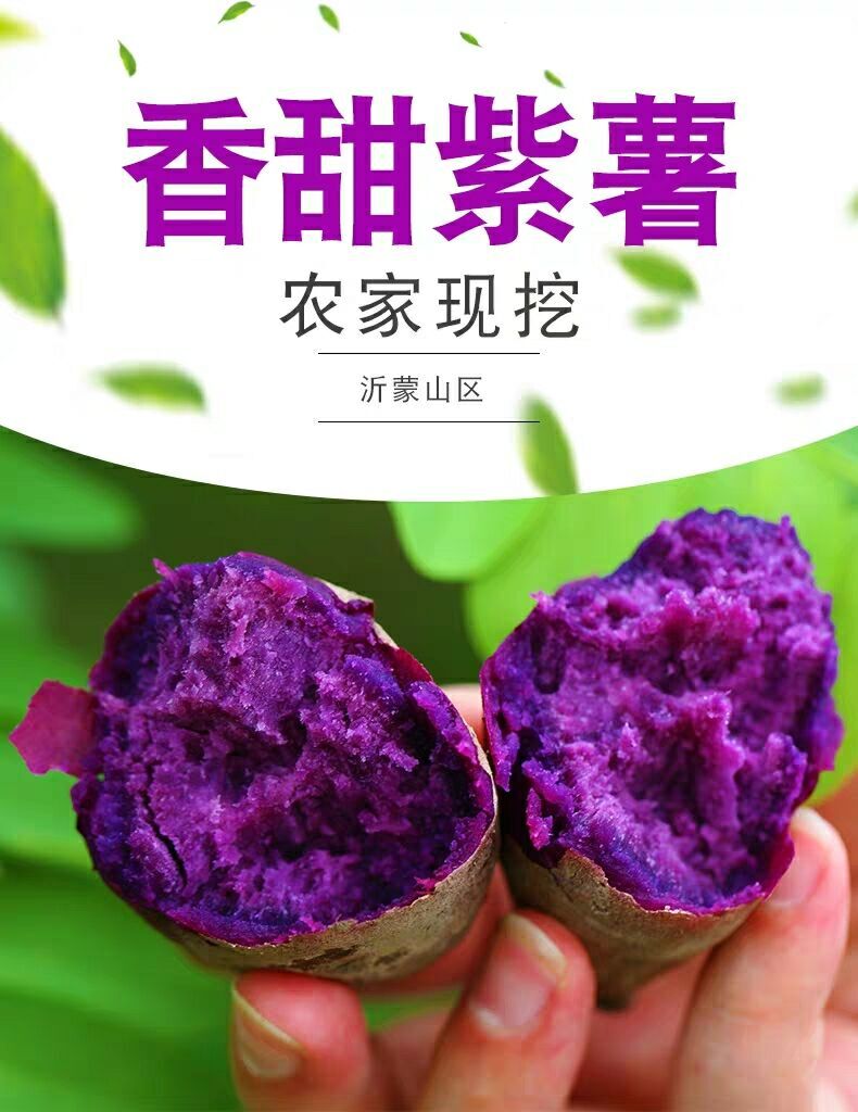 紫薯带箱10斤农家新鲜自种现挖包邮大番薯地瓜红沙薯蜜薯烤红薯在类目 水产肉类/新鲜蔬果/熟食, 新鲜蔬菜/蔬菜制品, 新鲜蔬菜, 番薯中 - 来自Buy2taobao.com提供专业的淘宝代购服务