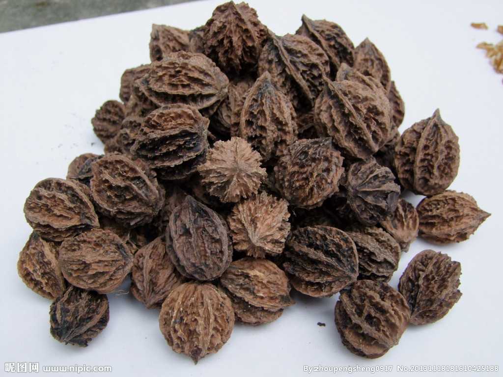 魔王松鼠 五道眉松鼠 飛鼠等松鼠 零食山核桃 磨牙松鼠 200g在類目 寵物/寵物食品及用品, 倉鼠類及其它小寵, 飼料/零食中 - 來自Buy2taobao.com提供專業的淘寶代購服務