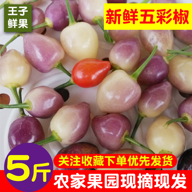 2018廣西農家特産新鮮現摘現發七彩五色五彩泡圓珍珠辣椒5斤包郵在類目 水產肉類/新鮮蔬果/熟食, 新鮮蔬菜/蔬菜製品, 新鮮蔬菜, 其它中 - 來自Buy2taobao.com提供專業的淘寶代購服務