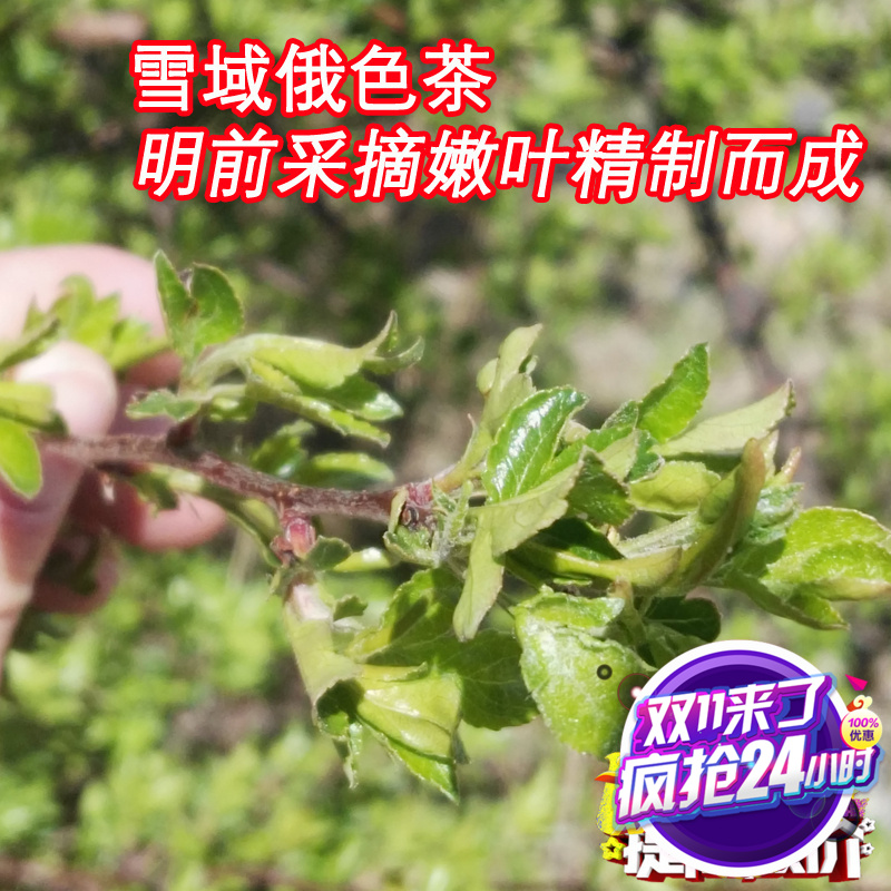 Ganzi Luhuo Snowy wild Tea Middle and old age Health tea drink Mingqian Leaves newly picked and processed tea leaves 100gin the Traditional nourishing food , Health tea category - from Buy2taobao.com to provide professional Taobao agent buy service