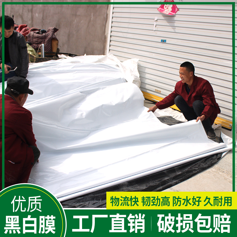 黑白膜养殖大棚膜防水塑料食用菌膜防晒遮光隔热反光pep加厚进口在类目 农机/农具/农膜, 农膜/篷布/遮网/大棚, 农用薄膜中 - 来自Buy2taobao.com提供专业的淘宝代购服务