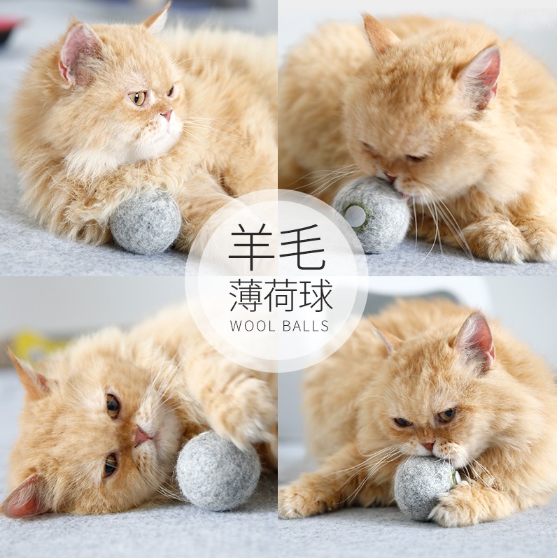 Furrytail 抖音上瘾逗猫棒神器猫薄荷胶囊羊毛球猫玩具球猫咪用品在类目 宠物/宠物食品及用品, 猫/狗玩具, 橡胶球/球形玩具中 - 来自Buy2taobao.com提供专业的淘宝代购服务