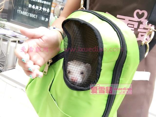 满90包邮!宠物貂旅行包/便携包/卸运包/车载包 单/双肩背宠物包|ruв категории животное/Животное питание и принадлежностей, одежды и аксессуаров для домашних животных, Пэт рюкзак - от Buy2taobao.com для оказания профессиональной услуги покупки агента Taobao
