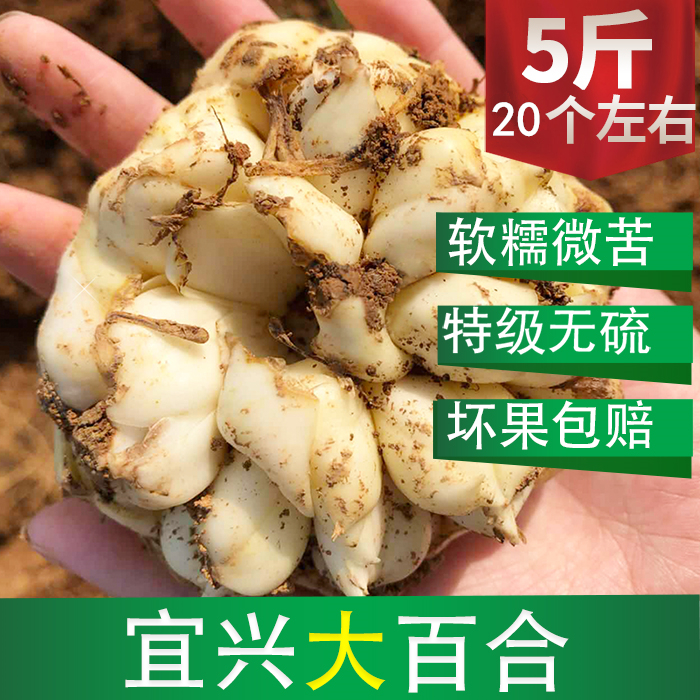 2018新鮮食用宜興功效百合5斤散裝土特産5斤20個左右非特級百合幹在類目 傳統滋補營養品, 藥食同源食品, 百合中 - 來自Buy2taobao.com提供專業的淘寶代購服務