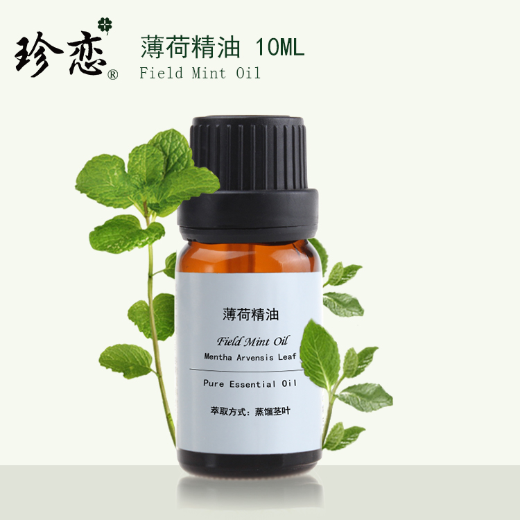 珍恋纯单方天然薄荷精油10ml按摩控油去黑头洗头香薰提神醒脑正品在类目 美容护肤/美体/精油, 精油芳疗, 单方精油中 - 来自Buy2taobao.com提供专业的淘宝代购服务