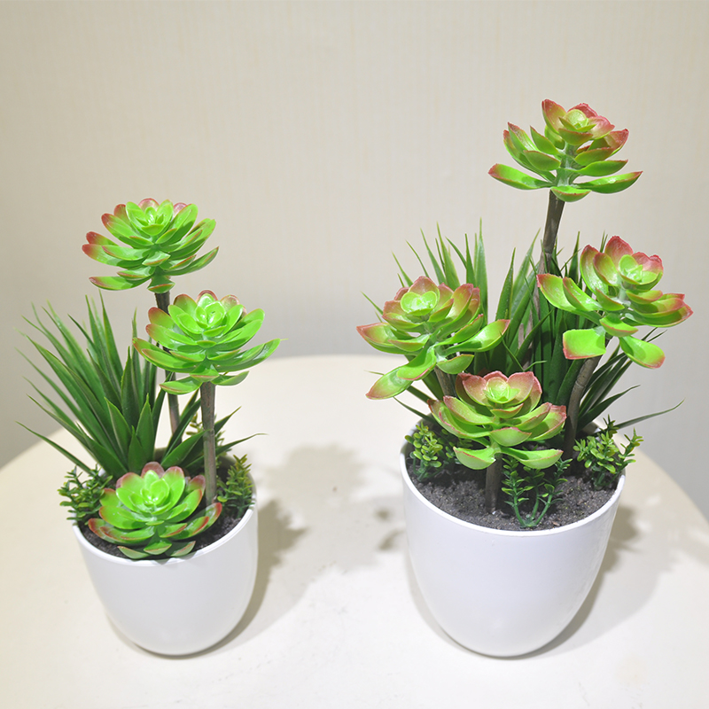 仿真多肉盆栽塑料花假花植物芦荟叶子清新小盆景家居装饰品摆件|msdalam kategori Aksesori rumah, pasu/bunga/bunga tiruan/perhiasan imitasi, simulasi tumbuhan bonsai - dari Buy2taobao.com untuk memberikan perkhidmatan ejen Taobao profesional membeli