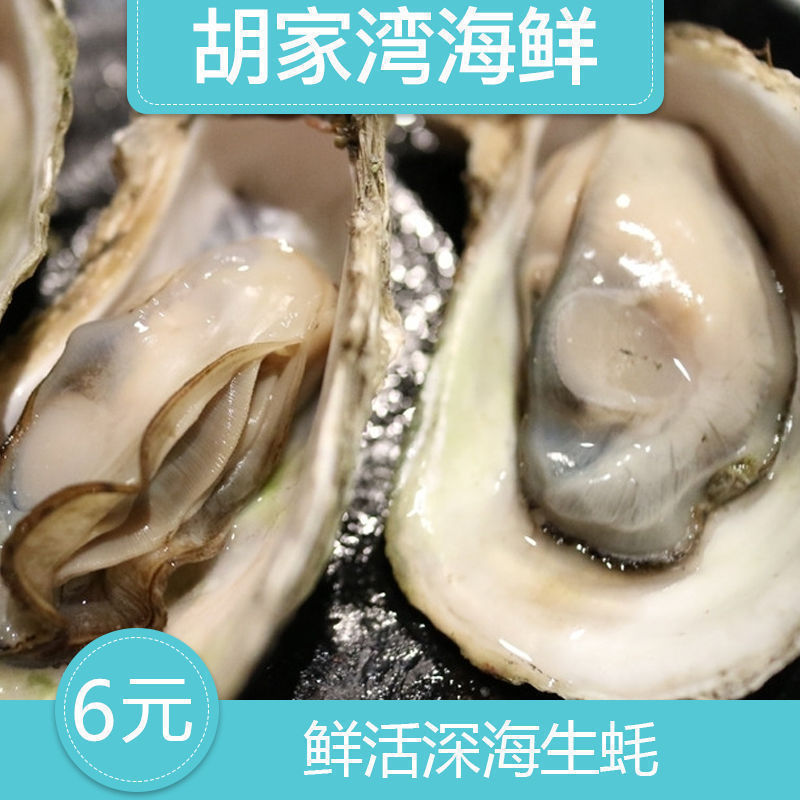 湛江生蚝 燒烤生蚝 【鮮活生蚝】刺身 生蚝 6元/個在類目 水產肉類/新鮮蔬果/熟食, 海鮮/水產品/製品, 貝類, 貝類製品中 - 來自Buy2taobao.com提供專業的淘寶代購服務