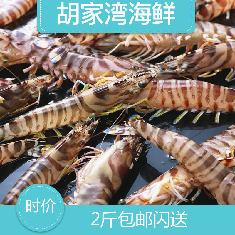 北京可以闪送 鲜活基围虾 基围虾 九节虾 斑节虾 鲜活基围虾|ruв категории водной мясо/свежие фрукты и овощи/еда, морепродукты/водные продукты/изделия, креветки, жить креветки - от Buy2taobao.com для оказания профессиональной услуги покупки агента Taobao