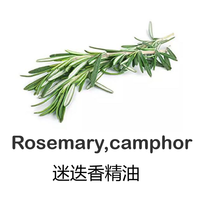 迷叠香精油30ML純植物單方精油生護發提神強記憶廠家直銷按摩刮痧在類目 美容護膚/美體/精油, 精油芳療, 單方精油中 - 來自Buy2taobao.com提供專業的淘寶代購服務