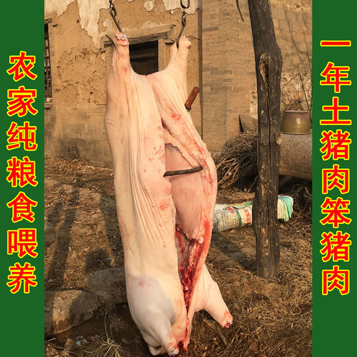 農村土豬肉前後腿肉五花肉笨豬肉生肉肥腸深山農家喂養壹年土豬肉在類目 水產肉類/新鮮蔬果/熟食, 生肉/肉製品, 豬肉類, 生豬肉中 - 來自Buy2taobao.com提供專業的淘寶代購服務