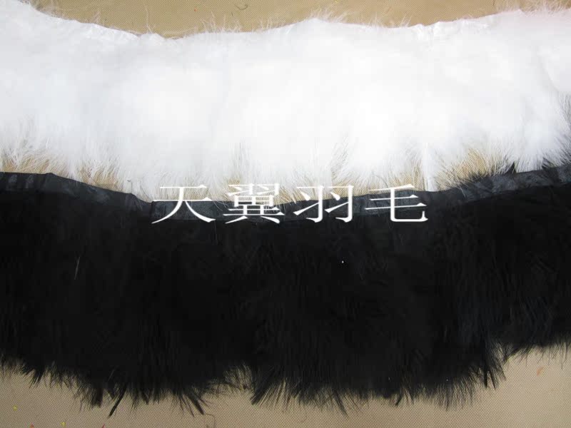批發 全絨羽毛 彩色羽毛 裙擺 鴕鳥毛條 表演羽毛 服裝配飾 毛2米在類目 飾品/流行首飾/時尚飾品新, DIY配件, 其他DIY飾品配件中 - 來自Buy2taobao.com提供專業的淘寶代購服務