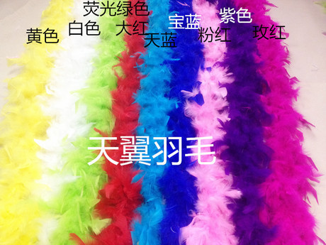 大號加粗加厚羽毛條 羽毛拖鞋鴕鳥毛 彩色羽毛舞台羽毛酒吧羽毛在類目 飾品/流行首飾/時尚飾品新, DIY配件, 其他DIY飾品配件中 - 來自Buy2taobao.com提供專業的淘寶代購服務