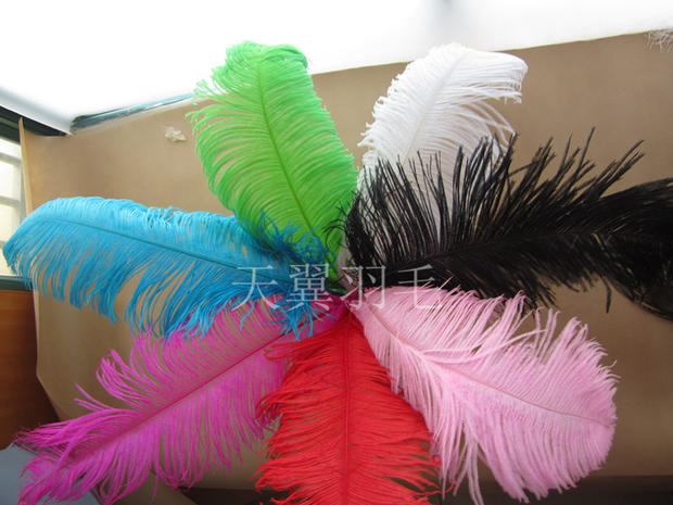 Ostrich feather*South Africa Imported Ostrich feather 50~55 a centimeter Various colour Performances feathers Clothing accessoriesin the Home accessories , Other craft accessories category - from Buy2taobao.com to provide professional Taobao agent buy service