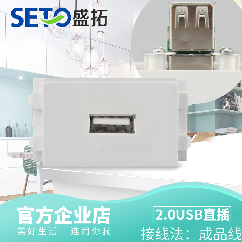 盛拓USB模块 对接 直插 功能件 开关插座 地面功能件面板功能件|ruв категории электронный/электрик, другие - от Buy2taobao.com для оказания профессиональной услуги покупки агента Taobao