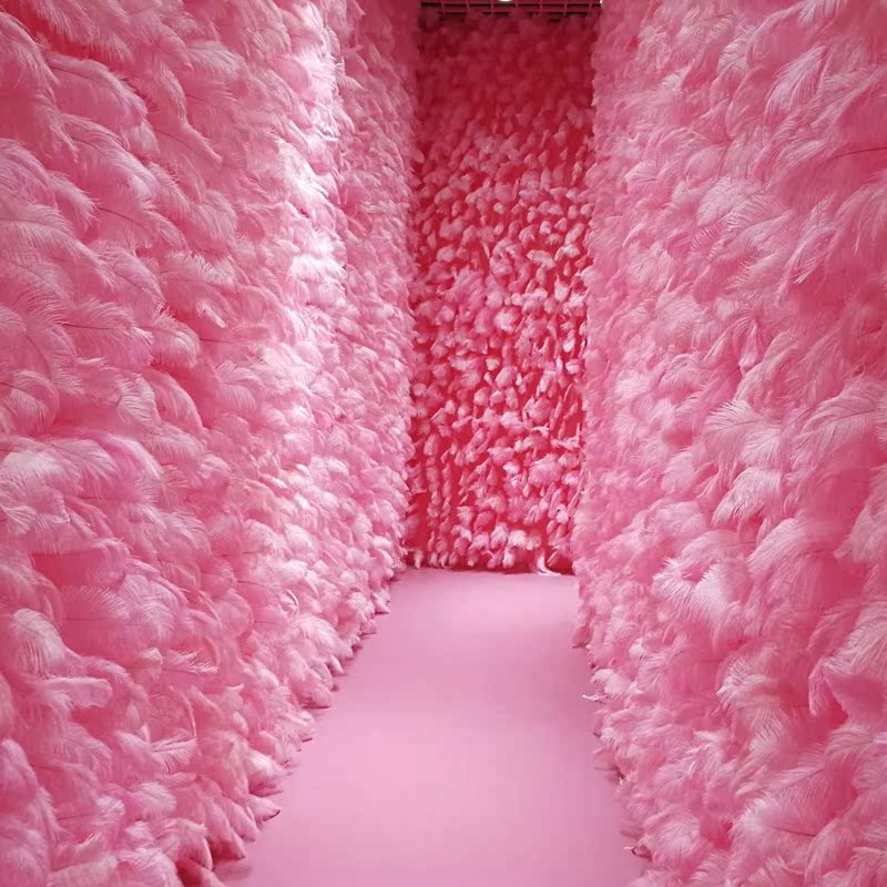 girl Red Feather Pink Ostrich feather fairy Room photograph prop Soft sister Background wall decoratein the Home accessories , Mural category - from Buy2taobao.com to provide professional Taobao agent buy service