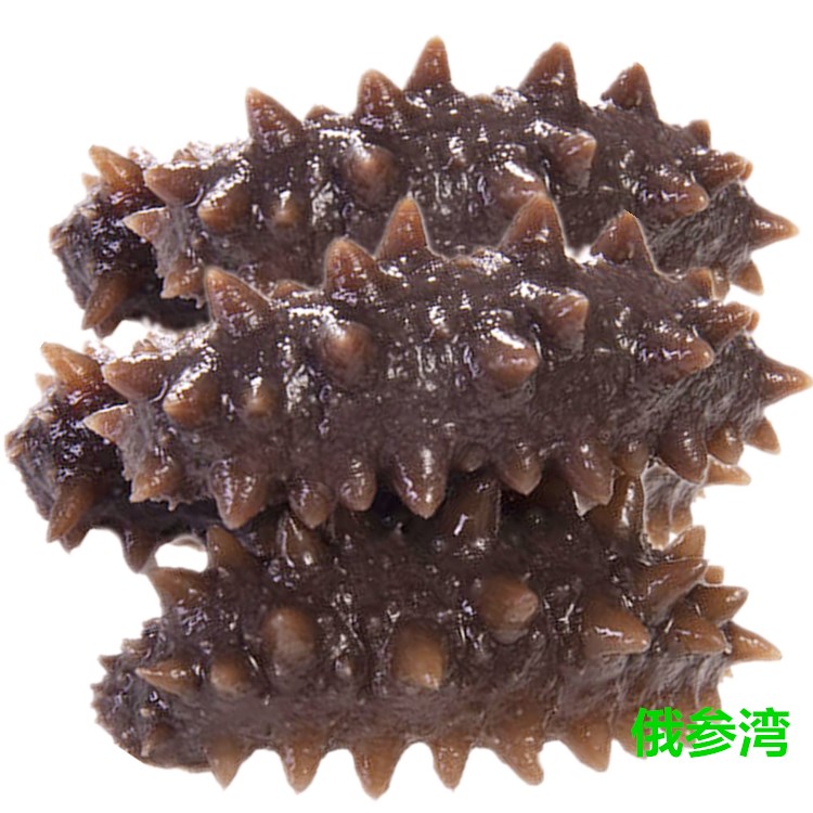 俄參灣 俄羅斯即食海參野生刺參紅參即食海參正品20-30只500g/份在類目 水產肉類/新鮮蔬果/熟食, 海鮮/水產品/製品, 海蔘中 - 來自Buy2taobao.com提供專業的淘寶代購服務
