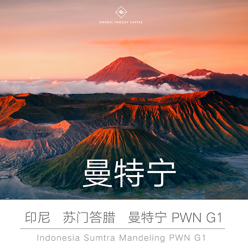 青蛙咖啡 印尼苏门答腊曼特宁PWNG1 精品现磨咖啡豆咖啡粉 200克在类目 咖啡/麦片/冲饮, 速溶咖啡/咖啡豆/粉, 咖啡豆/粉, 咖啡豆中 - 来自Buy2taobao.com提供专业的淘宝代购服务