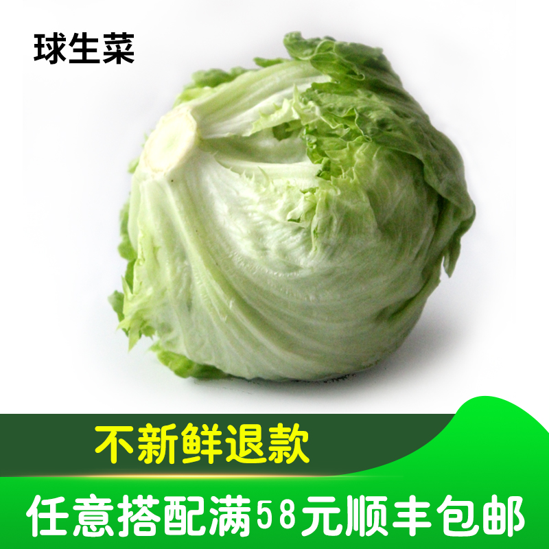 新鮮球生菜漢堡圓生菜500g 西餐蔬菜沙拉菜 Iceberg在類目 水產肉類/新鮮蔬果/熟食, 新鮮蔬菜/蔬菜製品, 新鮮蔬菜, 其它中 - 來自Buy2taobao.com提供專業的淘寶代購服務