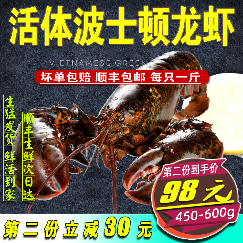 鮮活大龍蝦 波士頓龍蝦 生猛海鮮 深海大龍蝦 澳洲龍蝦鮮活 包郵在類目 水產肉類/新鮮蔬果/熟食, 海鮮/水產品/製品, 蝦類, 活蝦中 - 來自Buy2taobao.com提供專業的淘寶代購服務