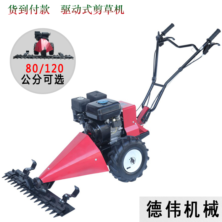 四沖程汽油剪草機割草機 除草機農用園林打草機驅動式割剪機開荒在類目 鮮花速遞/花卉仿真/綠植園藝, 園藝用品, 割草機/草坪機中 - 來自Buy2taobao.com提供專業的淘寶代購服務