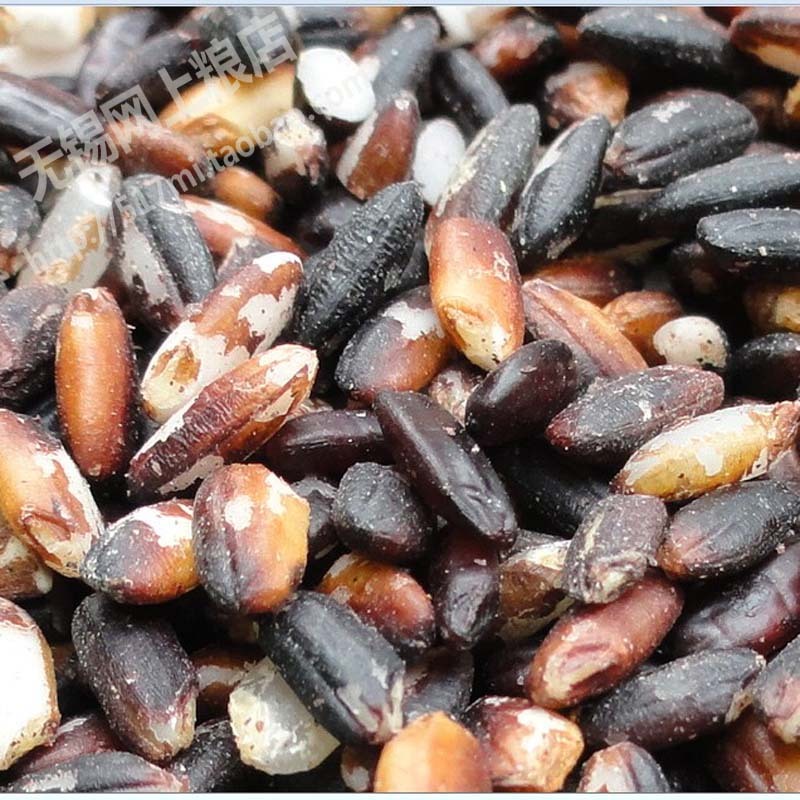 新货东北血糯米500g(杂粮粗粮) 黑糯米 紫糯米糯紫米|msdalam kategori beras/Utara-Selatan barangan kering/perasa, meter/tepung/bijirin, RICE, beras pulut - dari Buy2taobao.com untuk memberikan perkhidmatan ejen Taobao profesional membeli