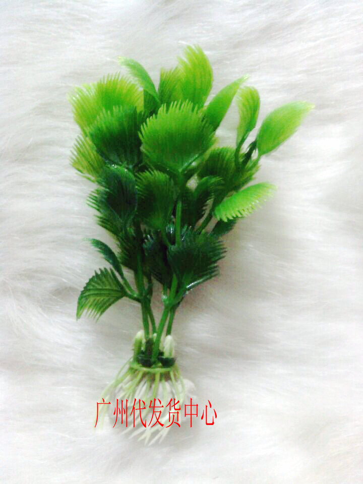 仿真绿水草 塑料花 迷你鱼缸水族箱假草 小鱼缸假花装饰品在类目 宠物/宠物食品及用品, 水族世界, 鱼缸等水族设备, 造景/装饰中 - 来自Buy2taobao.com提供专业的淘宝代购服务