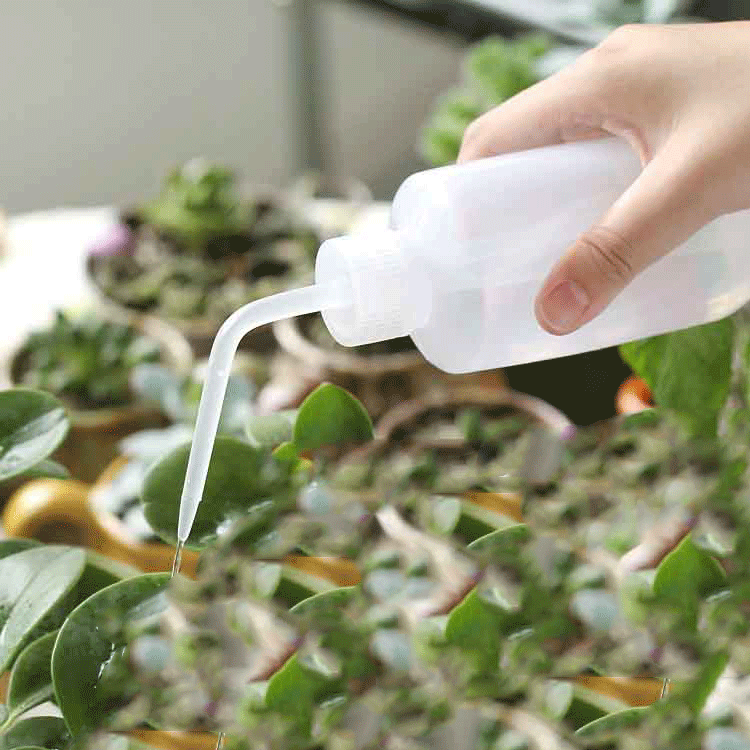 挤压尖嘴弯头壶多肉植物专用喷壶浇花壶半透明塑料浇水壶500ml在类目 鲜花速递/花卉仿真/绿植园艺, 园艺用品, 洒水/浇水壶中 - 来自Buy2taobao.com提供专业的淘宝代购服务