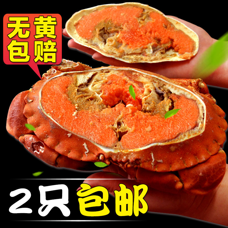 黄金蟹面包蟹海蟹珍宝蟹熟冻鲜活海鲜熟食螃蟹膏蟹飞蟹梭子蟹膏蟹在类目 水产肉类/新鲜蔬果/熟食, 海鲜/水产品/制品, 蟹类, 蟹类制品中 - 来自Buy2taobao.com提供专业的淘宝代购服务
