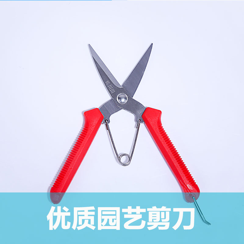 Qingdao Air Garden Pruner flowers and plants Flowers Vegetables tomato cucumber Scissors gardening tool green Suppliesin the Flower delivery/Flowers simulation/Plants gardening , Gardening supplies , Gardening/Knife/Scissors/Saw (New) , Scissors category - from Buy2taobao.com to provide professional Taobao agent buy service