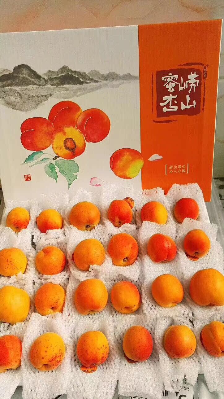 挑剔虎崂山蜜杏约4斤24枚顺丰包邮 甜蜜瀑 新鲜现摘现发在类目 水产肉类/新鲜蔬果/熟食, 新鲜水果, 其它中 - 来自Buy2taobao.com提供专业的淘宝代购服务