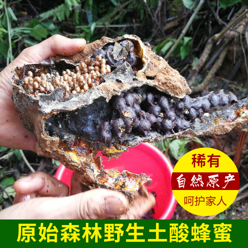 雲南野生蜂蜜地下酸蜂蜜500g老巢蜜無刺蜂純正天然土酸蜜野蜜在類目 傳統滋補營養品, 蜂蜜中 - 來自Buy2taobao.com提供專業的淘寶代購服務