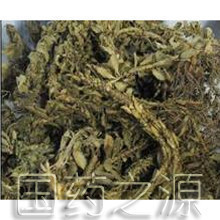 正品 小叶 千层塔 500克|ruв категории зерно риса/север и Юг сухих грузов/приправы, север и Юг сухих грузов/мясо сухих грузов, сухогрузный/родной, другие - от Buy2taobao.com для оказания профессиональной услуги покупки агента Taobao