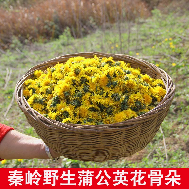 野生蒲公英花茶蒲公英花苞新鲜蒲公英干花女性蒲公英花骨朵花蕾在类目 传统滋补营养品, 药食同源食品, 其他药食同源食品中 - 来自Buy2taobao.com提供专业的淘宝代购服务
