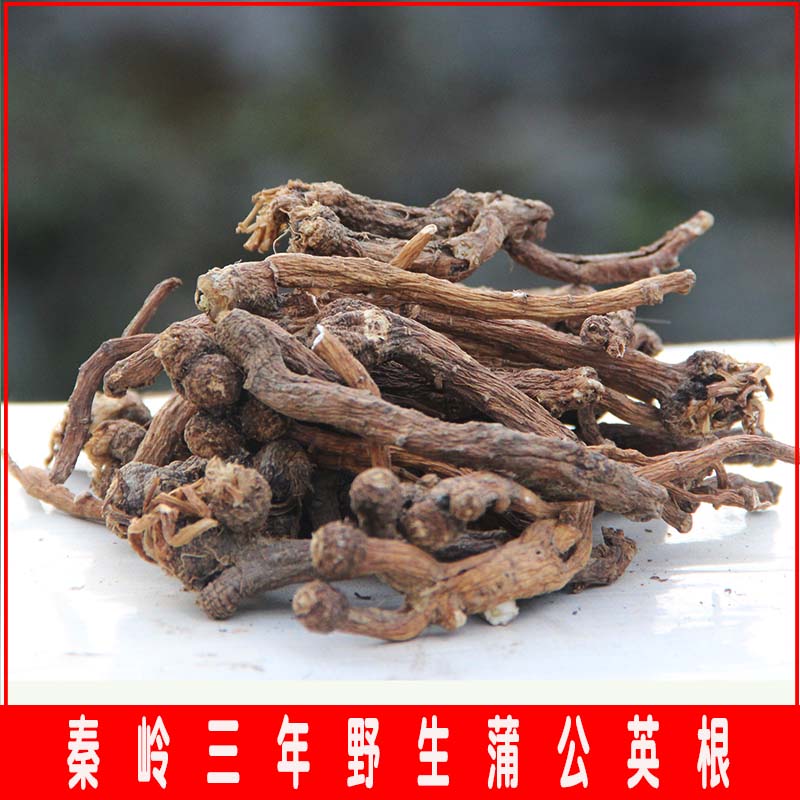 新货整颗蒲公英茶叶野生蒲公英根大根茶中药材婆婆丁根500克包邮在类目 传统滋补营养品, 药食同源食品, 其他药食同源食品中 - 来自Buy2taobao.com提供专业的淘宝代购服务