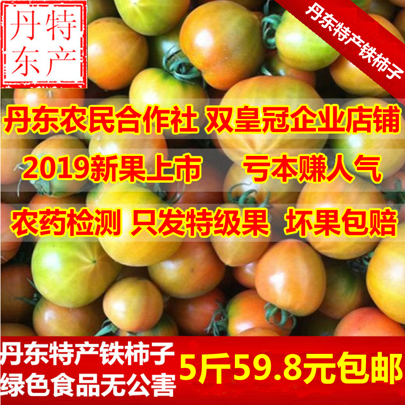 Dandong Donggang specialty Oil persimmon Tin strawberry Yang persimmon tomato Talon Sinicum Lantern fruit Tomatoesin the Aquatic meat/Fresh fruits and vegetables/Cooked , Fresh vegetables/Vegetable products , Fresh vegetables , Tomatoes category - from Buy2taobao.com to provide professional Taobao agent buy service