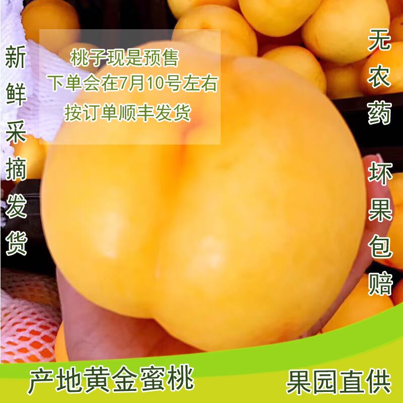 新鲜黄心黄肉黄金油桃黄金蜜桃非蒙阴水蜜桃新鲜水果包邮在类目 水产肉类/新鲜蔬果/熟食, 新鲜水果, 桃中 - 来自Buy2taobao.com提供专业的淘宝代购服务