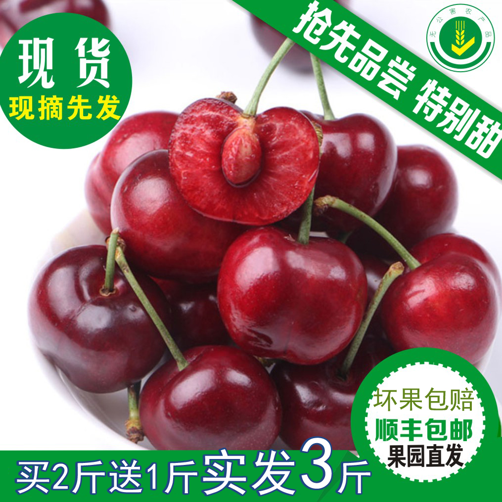 樱桃 新鲜水果包邮2斤送1斤实发3斤大连美早砂蜜豆新鲜采摘顺丰在类目 水产肉类/新鲜蔬果/熟食, 新鲜水果, 车厘子/樱桃中 - 来自Buy2taobao.com提供专业的淘宝代购服务