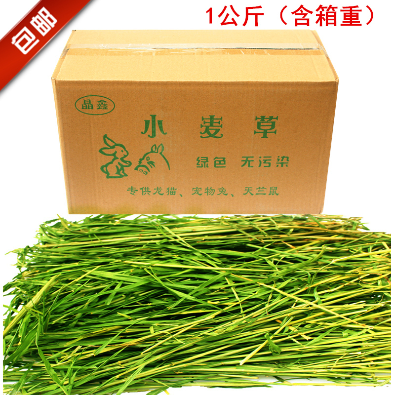 1公斤包郵 19年香綠小麥草幹草兔子荷蘭豬天竺鼠兔兔龍貓牧草兔糧在類目 寵物/寵物食品及用品, 兔類及其用品, 兔兔乾草中 - 來自Buy2taobao.com提供專業的淘寶代購服務