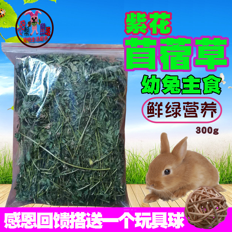 幼兔吃的草兔粮草龙猫食物主粮苜蓿草新鲜宠物兔干草饲料兔子草食在类目 宠物/宠物食品及用品, 兔类及其用品, 兔兔干草中 - 来自Buy2taobao.com提供专业的淘宝代购服务