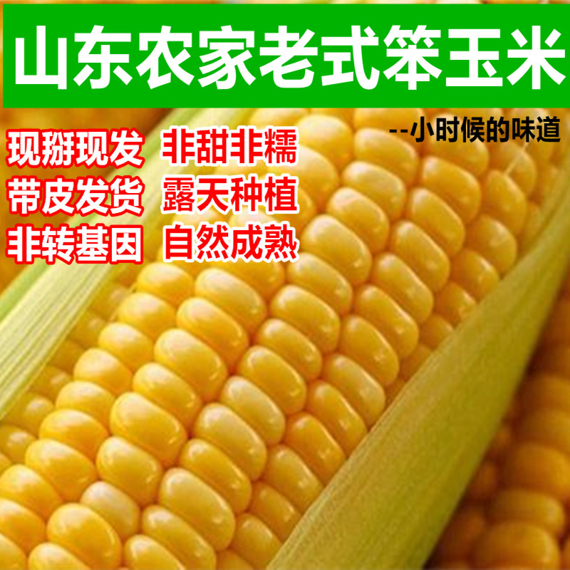 农家新鲜老式黄玉米老玉米棒笨玉米老品种5斤现摘现发非转基因在类目 水产肉类/新鲜蔬果/熟食, 新鲜蔬菜/蔬菜制品, 新鲜蔬菜, 新鲜玉米中 - 来自Buy2taobao.com提供专业的淘宝代购服务