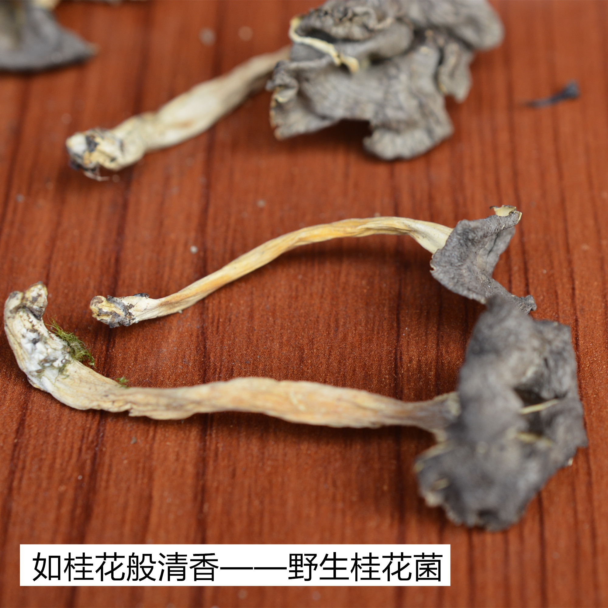 野生桂花菌干货寒菌云南大理士特产蘑菇香气清雅口感好适合煲汤在类目 粮油米面/南北干货/调味品, 南北干货/肉类干货, 干货/土特产, 香菇类中 - 来自Buy2taobao.com提供专业的淘宝代购服务