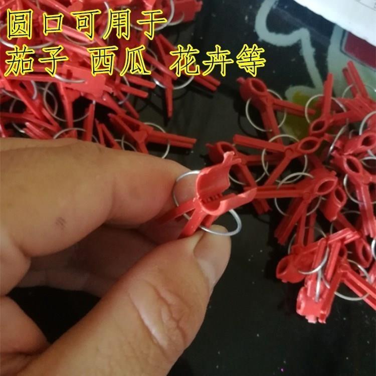 园林夹口西瓜种光滑瓜果黄瓜嫁接用小夹子使用花卉嫁接苗经济型|ruв категории доставка цветов/цветок моделирования/растения садоводства, садовых принадлежностей, других садовых принадлежностей - от Buy2taobao.com для оказания профессиональной услуги покупки агента Taobao