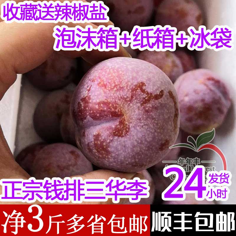 正宗信宜錢排銀妃三華李紅心李新鮮當季孕婦水果酸甜李子順豐包郵在類目 水產肉類/新鮮蔬果/熟食, 新鮮水果, 李子中 - 來自Buy2taobao.com提供專業的淘寶代購服務
