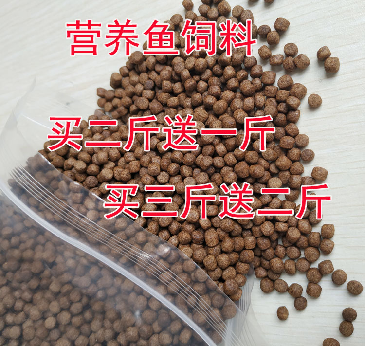锦鲤饲料鲤鱼饲料鱼食小颗粒金鱼饲料观赏鱼粮发财鱼罗汉鱼通用在类目 宠物/宠物食品及用品, 水族世界, 观赏鱼饲料中 - 来自Buy2taobao.com提供专业的淘宝代购服务